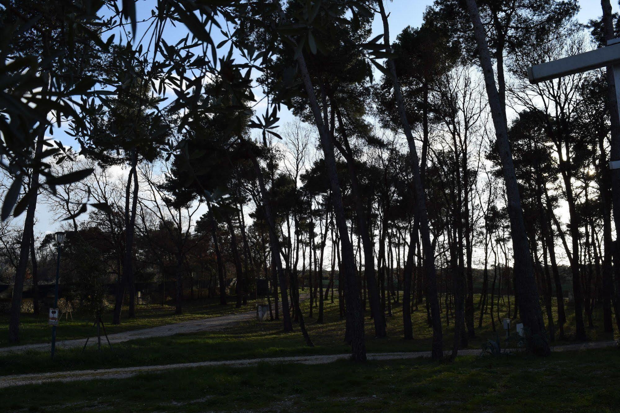 Villaggio Camping Bosco Selva Alberobello Luaran gambar